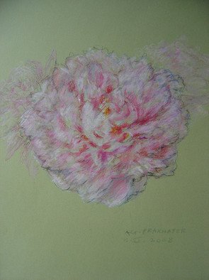 Agnieszka Praxmayer; Pastel Pivoine Pink, 2008, Original Pastel Oil, 32.5 x 45 cm. Artwork description: 241   pink/ flower / work on paper       ...