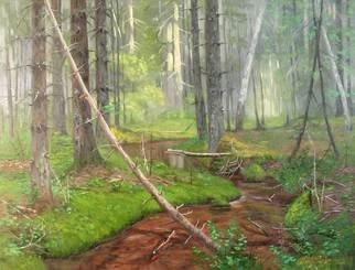 Alexander Bezrodnykh; Stream In The Forest, 2006, Original Painting Oil, 80 x 60 cm. Artwork description: 241 Stream in the forest, Stream, the forest, ...
