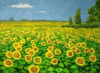 Alexander Bezrodnykh; Sunflowers, 2014, Original Painting Oil, 80 x 60 cm. Artwork description: 241 sunflowers, field, the sun, ...
