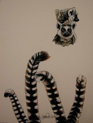 Judith Smith Wilson, 'Heads Or Tails', 2009, original Watercolor, 11 x 14  inches. Artwork description: 1911  Lemurs - Open Edition Prints available for $35. 00. Original l200. 00 ...