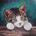 Judith Smith Wilson, 'Here Kitty, Kitty, Kitty', 2008, original Watercolor, 10 x 8  x 1 inches. Artwork description: 1911   Young kitten peering over a log, wanting to play. 8x10 double matted open edition print, $25. 00Original Available ...