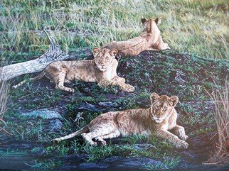 Judith Smith Wilson; Just Lion Around, 2010, Original Watercolor,   inches. Artwork description: 241  Painting done from original photograph taken by the artist on trip to Kenya, East Africa.  Three young lions laying on a mound. ...