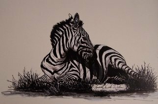 Judith Smith Wilson; Reflections Of Zebra, 1999, Original Watercolor, 11 x 14 inches. Artwork description: 241  Zebra resting in twilight. Pen& Ink with Ink wash.  Original $750. 00.  Open Edition Prints. $45. 00. ...