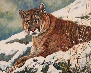 Judith Smith Wilson; Winter In Montana, 1998, Original Watercolor, 8 x 10 inches. Artwork description: 241  Young cougar enjoying the winter snow. Original Painting $l, 300. 00  Open Edition Prints.  $35. 00...