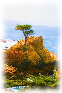 Tammy Gatten; The  Famous Tree, 2008, Original Photography Color, 16 x 20 inches. Artwork description: 241  Driving up to Big Sur we found a famous tree that has been in many movies. Very magestic. ...