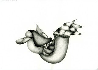 Juergen W.d. Stieler; Saddled Snail, 1998, Original Drawing Pencil, 21 x 30 cm. 