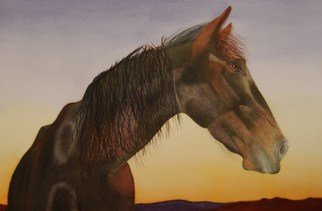 Carolyn Judge; Sunset Profile, 2010, Original Watercolor, 40 x 27 cm. Artwork description: 241  We photographed this horse in the North of the North Island of New Zealand.  The timing was perfect as the sun was setting over the Tasman Sea.  We fed this horse and his two companions some of our morning muesli and they repaid us by posing for ...