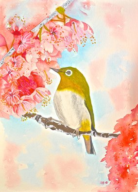 Carolyn Judge; Waxeye In Spring Blossom, 2020, Original Watercolor, 26 x 36 cm. Artwork description: 241 A close up image of a waxeye amongst the spring blossom...