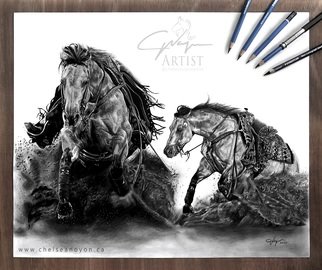 Chelsea Noyon; Makendiamonds, 2020, Original Drawing Graphite, 17 x 14 inches. Artwork description: 241 Graphite drawing by Chelsea Noyon of a reining horse on smooth bristol paper. ...