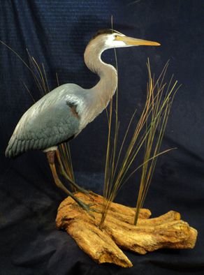 Chris Dixon; Miniature Great Blue Hero..., 2013, Original Sculpture Mixed, 14 x 28 inches. Artwork description: 241  for sale: Miniature Great Blue Heron is 26 inches tall. Sculpture overall dimensions 28 L x 14 W x 29 H inches tall. There are 2 color morphs of the great blue heron, white and blue. Although the great blue heron can be found all over America, ...