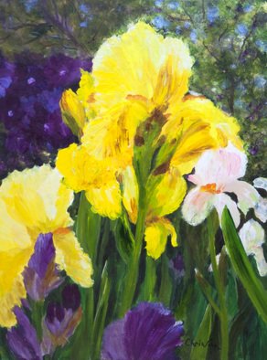 Chris Jehn; Yellow And Purple Iris, 2017, Original Painting Acrylic, 18 x 24 inches. Artwork description: 241 Bright purple and yellow iris. Up close...