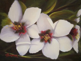 Colleen Balfour; Almond White, 2009, Original Painting Oil, 610 x 406 cm. Artwork description: 241   flowers, white, still life, bouquet, flora ...