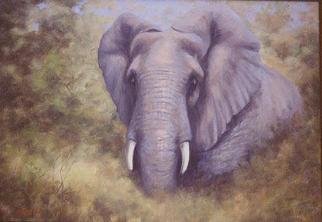 Colleen Balfour; Breaking Cover, 2001, Original Painting Oil, 24 x 32 inches. Artwork description: 241 The mighty African elephant, a master at using the bush to disappear at a moments notice, breaks cover with equal suddeness.Oil on masonite...