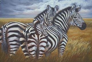 Colleen Balfour; Still Before The Storm  , 2001, Original Painting Oil, 32 x 24 inches. Artwork description: 241 Oil on masoniteUnframedAlways alert, zebras teach us how to live in the moment, maximizing the quiet restful times....
