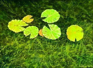 David Larkins; Pac Man Lily Pads, 2020, Original Painting Oil, 16 x 12 inches. Artwork description: 241 Lily pads floating in crystal clear Lake Hamlin located in Michigan projects a water abstraction.  While painting the pads it became apparent to me that I was painting Pac- Man sYes, I have included eyes on every pad...
