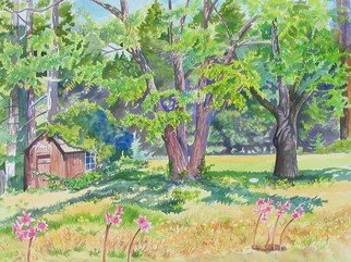 Debra Lennox; Smallest Bottle Museum In..., 2005, Original Watercolor, 42 x 30 inches. Artwork description: 241  This tiny building under the walnut trees on Soda Springs Creek, Comptche holds shelves of a historical bottle collection, gathering dust. ...
