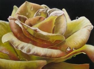 Delmus Phelps; Autumns Last, 2008, Original Painting Oil, 40 x 30 inches. Artwork description: 241  The last rose before killing frost.   ...