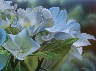 Delmus Phelps; Pale Blue Beauty Hydrangea, 2008, Original Printmaking Giclee, 13 x 19 inches. Artwork description: 241  A pale blue wonder of nature.   ...