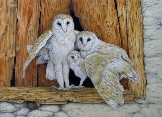 Dennis Mccallum; Barn Owl Family And A Mouse, 2015, Original Watercolor, 15 x 11 inches. Artwork description: 241 A very quiet little mouse shares a home with the owls. ...