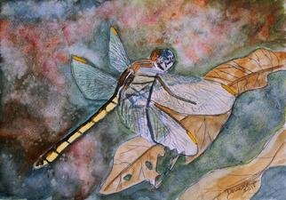 Derek Mccrea; Dragonfly, 2013, Original Printmaking Giclee, 15 x 11 inches. Artwork description: 241  Dragonfly insect animal wildlife watercolor painting giclee art print   ...