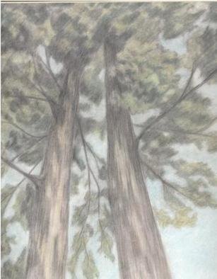 Dorothy Nuckolls, 'Trees', 2003, original Drawing Pencil, 9 x 12  inches. 
