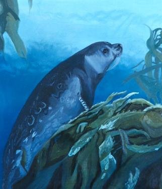 Donna Schaffer; Harbor Seal In Monterey B..., 2001, Original Painting Oil, 28 x 32 inches. Artwork description: 241 A Monterey Bay harbor seal rest on the top edge of some kelp about 40 feet under the surface of the water. Based on an underwater slide taken by the artist. ...