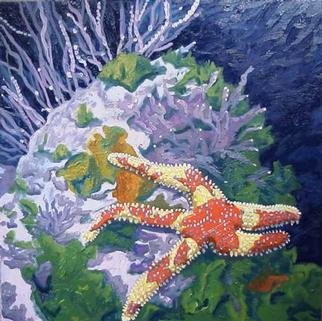 Donna Schaffer; Rainbow Starfish In Monte..., 2001, Original Painting Oil, 20 x 20 inches. Artwork description: 241 Oil painting on canvas of a rainbow starfish that' s found in Monterey and Carmel Bays. Based on artist' s personal underwater photography. This painting was featured on the December, 2002 cover of California Diving News. ...