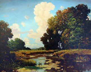 Dusan Vukovic; Hot Summer, 2012, Original Painting Oil, 40 x 50 cm. Artwork description: 241 realism, river, summer, landscape, oil, canvas, ...