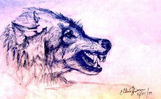 Elisha Sherman; Mohegan Wolf, 2004, Original Drawing Pencil, 17 x 11 inches. Artwork description: 241  Dedicated to the surviving Tribe and Peoples of Norwich, CT ...