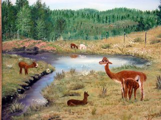 Ellen E Hinson; ALPACA MEADOW, 2007, Original Painting Oil, 20 x 16 inches. Artwork description: 241  This is an original oil painting of alpacas in a lovely meadow setting. ...