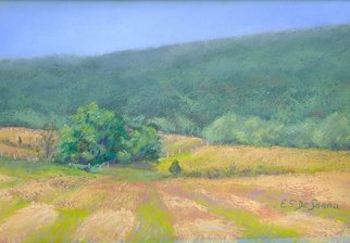 E S Desanna; Just Mown, 2008, Original Pastel, 13 x 9 inches. Artwork description: 241 18x14 simple gold frame with off white mat. Living in a rich agricultural area, I enjoy seeing the patterns made by plows and tractors in the fields. This is a mid- summer plein air work, done on a beautiful, clear day. ...