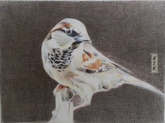 Ralitsa Veleva; Bird, 2013, Original Drawing Pencil, 25 x 35 cm. 