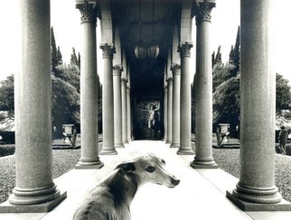 Itzhak Ben Arieh; THE DOG, 1996, Original Photography Black and White, 29 x 21 cm. Artwork description: 241   PHOTOMONTAGEFANTASTIC PHOTOGRAPHY ...