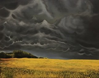 Farah Ravazadeh; Dark Sky, 2016, Original Painting Oil, 30.5 x 23 inches. Artwork description: 241 Dark clouds covering the sky upon a field in need of sun. Oil painting is framed. Measurements include frame...