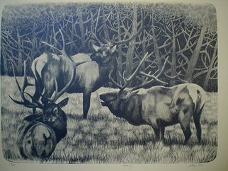Bob Filbey; Trio I, 1990, Original Printmaking Lithography, 30 x 21 inches. Artwork description: 241  elk woods antlers meadow   ...