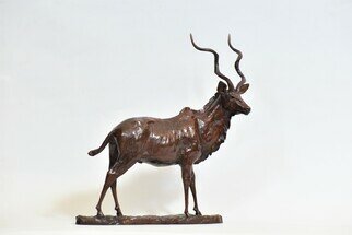 Heinrich Filter; Kudu Bull, 2023, Original Sculpture Bronze, 35 x 36 cm. Artwork description: 241 Kudu Bull - Limited Edition of 12, Bronze sculpture on bronze base, L 35 cm x W 12 cm x H 36 cm, brown patina.The majestic Kudu bull has one of the most recognisable silhouettes of the African bush. Tall, corkscrew horns can grow up to 1. ...