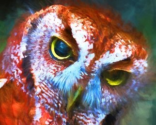 Db Jr; Red Owl- Winner Of Artpop, 2017, Original Digital Painting, 20 x 24 inches. Artwork description: 241 dbJRaEURtmsA  Red Owl. Part of the aEURoeRescued Series. aEURA ON METAL READY TO HANG. This beautiful bird is a natural. Everywhere I went this Owl posed. Yes, really posed for me. She wanted her picture taken. Look closely at the picture and you will see the twinkle. A  ...
