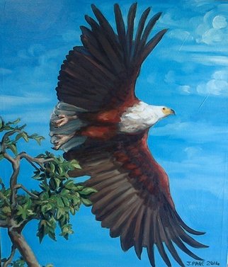 Janet Page; AFRICAN FISH EAGLE TAKES ..., 2014, Original Painting Oil, 64 x 74 cm. Artwork description: 241  AFRICAN FISH EAGLE, FISH EAGLE, BIRD OF PREY, ...