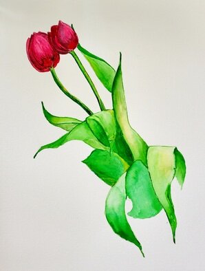 Jennifer Coleman Bryant-Wieber; Tulips, 2022, Original Watercolor, 11 x 15 inches. Artwork description: 241 2 tulips done in watercolor...