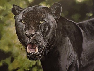 Jeff Cain; Imperium, 2020, Original Painting Acrylic, 60 x 45 cm. Artwork description: 241 Arcylic painting.  Indian black leopard for sale.  ...