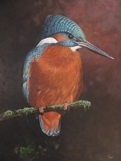 Jeff Cain; Orange Bullet, 2020, Original Painting Acrylic, 76 x 90 cm. Artwork description: 241 Adult kingfisher ...