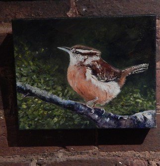Jeffrey Foster Thomas; The Entertainer, 2014, Original Painting Acrylic, 10 x 10 inches. Artwork description: 241  Carolina wren in acrylic. Gallery wrapped canvas.  ...