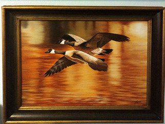 Jimmy Wharton; Golden Pond, 2008, Original Painting Oil, 24 x 24 inches. Artwork description: 241      Geese flying over water                   ...
