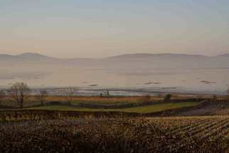 Joan Shannon; Misty Lough Foyle, 2011, Original Photography Color, 35 x 27 mm. Artwork description: 241  Lough, Foyle, Mist, haze, potato, potatoes, field, mountain, ireland ...