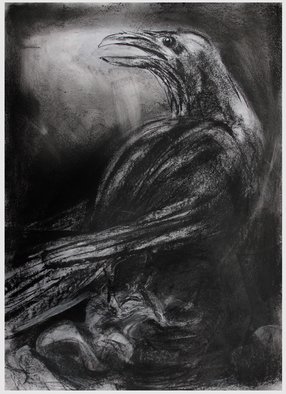John Sharp; Raven Longsleddale, 2017, Original Drawing Charcoal, 41 x 58 cm. Artwork description: 241 Raven...