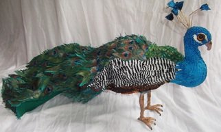 Kelly Castello; The Blue Peacock, 2015, Original Sculpture Mixed, 17 x 40 cm. Artwork description: 241   Sculpture textile peacock, 100% made by hand.Embroidered ornamental Peacock, wireframe, all the feathers are painted by hand with pigments.peacock waterproofed...