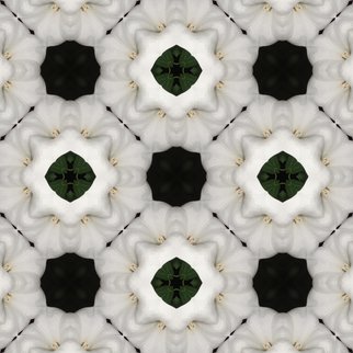 Kimi Nishikawa; White Flower Repeat, 2012, Original Photography Other, 23 x 23 inches. Artwork description: 241  Symmetrical repeat pattern created from a photograph of a flowering houseplant ...