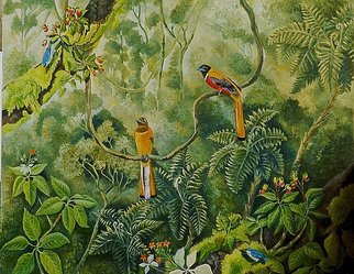 Meenakshi Subramaniam; Malabar Trogons In The Forest, 2015, Original Painting Acrylic, 48 x 72 inches. Artwork description: 241       Bird Art India, Wildlife, Nature , Western Ghats, Kerala, endemic  Butterflies of tropical forests in India  ...