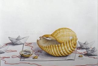 Thomai Kontou; My Agean Sea Shell, 2004, Original Other, 35 x 45 cm. 