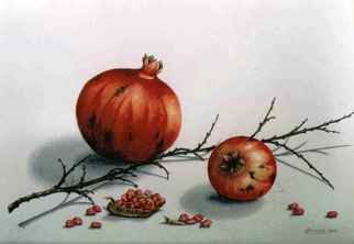 Thomai Kontou; Pomegranates, 2009, Original Watercolor, 40 x 30 cm. Artwork description: 241  Pomegranates cycle ...